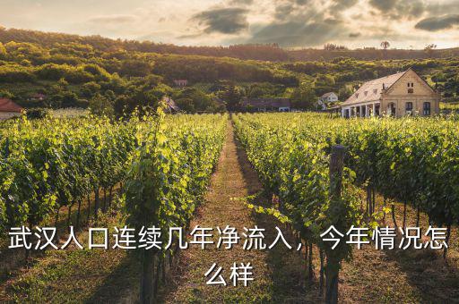 武漢人口連續(xù)幾年凈流入，今年情況怎么樣
