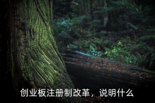創(chuàng)業(yè)板注冊(cè)制改革，說明什么