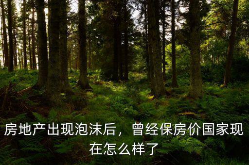 房地產出現泡沫后，曾經保房價國家現在怎么樣了