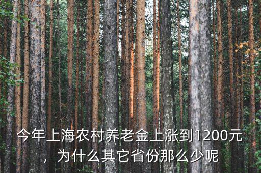 今年上海農(nóng)村養(yǎng)老金上漲到1200元，為什么其它省份那么少呢