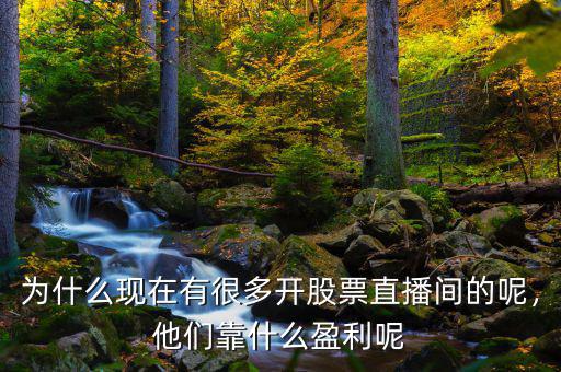為什么現(xiàn)在有很多開股票直播間的呢，他們靠什么盈利呢