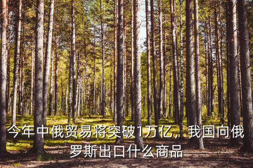 今年中俄貿(mào)易將突破1萬億，我國(guó)向俄羅斯出口什么商品