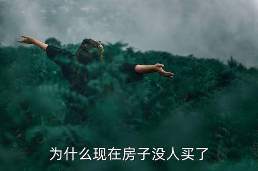 為什么現在的房子得房率很低,為什么現在房子沒人買了