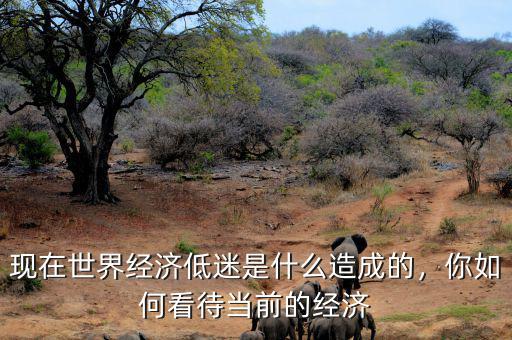 現(xiàn)在世界經濟低迷是什么造成的，你如何看待當前的經濟