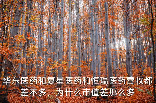 華東醫(yī)藥和復(fù)星醫(yī)藥和恒瑞醫(yī)藥營收都差不多，為什么市值差那么多