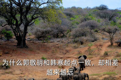 為什么郭敬明和韓寒起點(diǎn)一致，卻相差越來越遠(yuǎn)