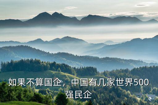如果不算國企，中國有幾家世界500強民企