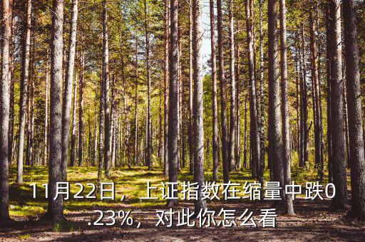 11月22日，上證指數(shù)在縮量中跌0.23%，對此你怎么看