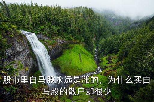 股市里白馬股永遠(yuǎn)是漲的，為什么買白馬股的散戶卻很少