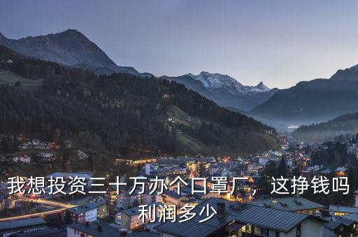我想投資三十萬辦個口罩廠，這掙錢嗎利潤多少