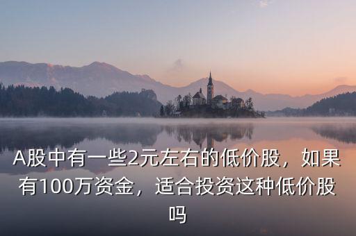 A股中有一些2元左右的低價股，如果有100萬資金，適合投資這種低價股嗎