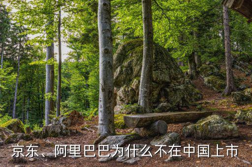 京東、阿里巴巴為什么不在中國上市