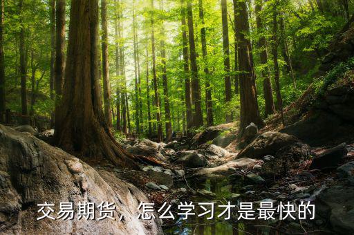 交易期貨，怎么學(xué)習(xí)才是最快的