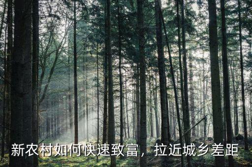 新農(nóng)村如何快速致富，拉近城鄉(xiāng)差距