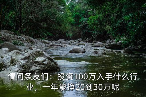 請(qǐng)問條友們：投資100萬入手什么行業(yè)，一年能掙20到30萬呢
