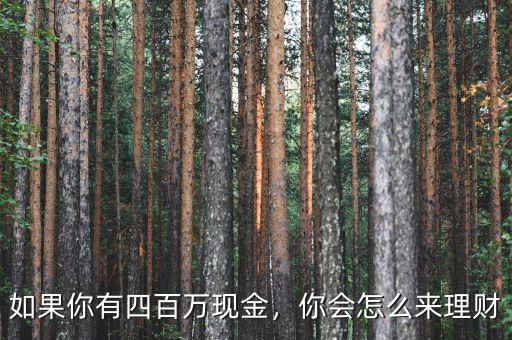 如果你有四百萬現(xiàn)金，你會怎么來理財
