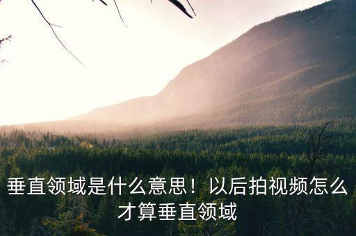 垂直領(lǐng)域是什么意思！以后拍視頻怎么才算垂直領(lǐng)域