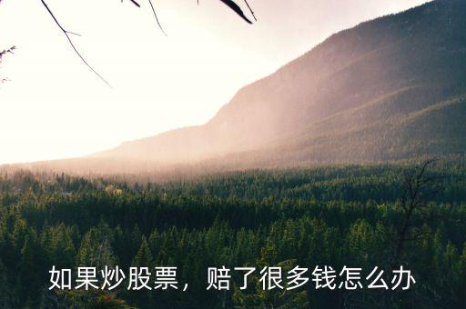 如果炒股票，賠了很多錢怎么辦