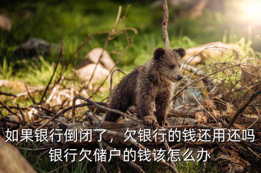 銀行破產(chǎn)了欠款怎么辦,銀行欠儲(chǔ)戶的錢(qián)該怎么辦