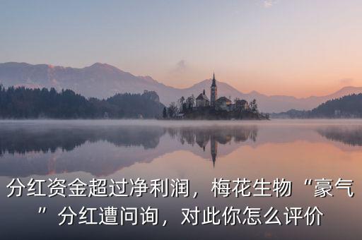 分紅資金超過凈利潤，梅花生物“豪氣”分紅遭問詢，對此你怎么評價