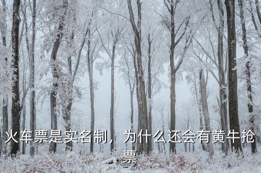 火車票是實名制，為什么還會有黃牛搶票