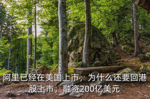 阿里已經(jīng)在美國上市，為什么還要回港股上市，融資200億美元