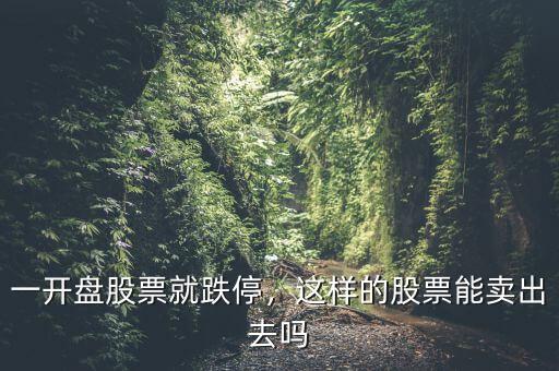 一開(kāi)盤(pán)股票就跌停，這樣的股票能賣出去嗎