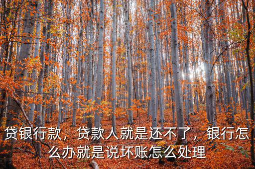 貸銀行款，貸款人就是還不了，銀行怎么辦就是說壞賬怎么處理