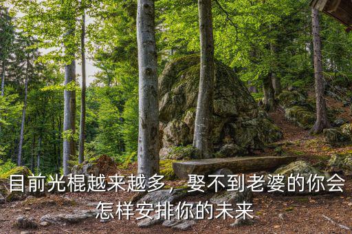 目前光棍越來越多，娶不到老婆的你會怎樣安排你的未來