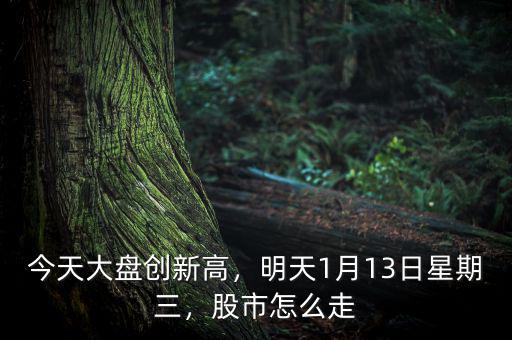 今天大盤創(chuàng)新高，明天1月13日星期三，股市怎么走