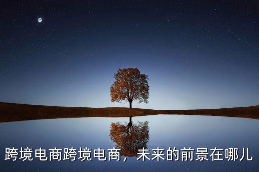 跨境電商跨境電商，未來的前景在哪兒