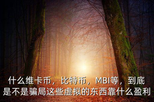 什么維卡幣，比特幣，MBI等，到底是不是騙局這些虛擬的東西靠什么盈利
