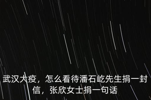 武漢大疫，怎么看待潘石屹先生捐一封信，張欣女士捐一句話