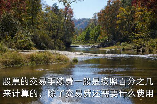 股票的交易手續(xù)費(fèi)一般是按照百分之幾來計(jì)算的，除了交易費(fèi)還需要什么費(fèi)用