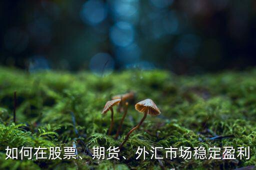 如何在股票、期貨、外匯市場(chǎng)穩(wěn)定盈利