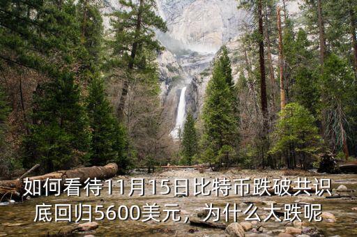 如何看待11月15日比特幣跌破共識(shí)底回歸5600美元，為什么大跌呢
