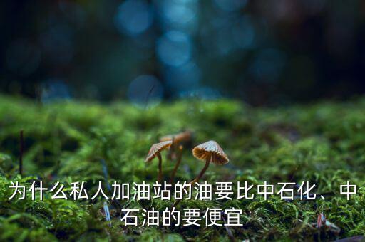 為什么私人加油站的油要比中石化、中石油的要便宜