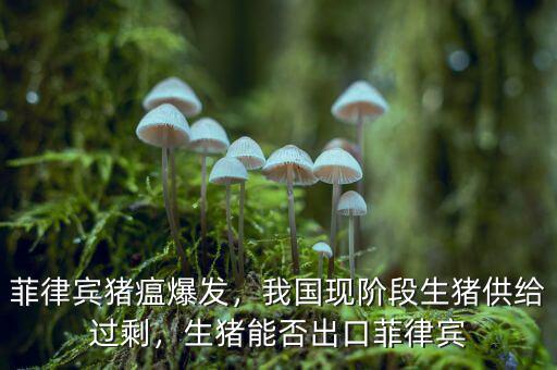 菲律賓豬瘟爆發(fā)，我國(guó)現(xiàn)階段生豬供給過(guò)剩，生豬能否出口菲律賓