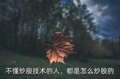 不懂炒股技術(shù)的人，都是怎么炒股的