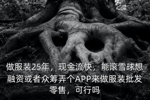 做服裝25年，現(xiàn)金流快，能滾雪球想融資或者眾籌弄個APP來做服裝批發(fā)零售，可行嗎