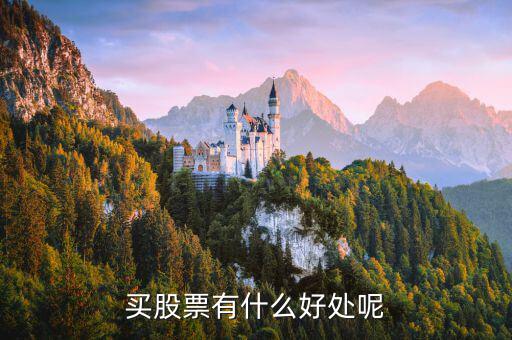 買(mǎi)股票有什么好處呢