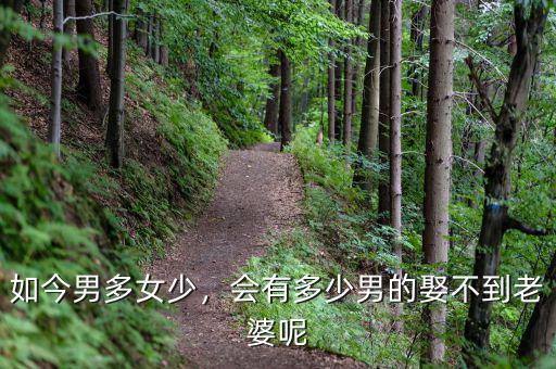 如今男多女少，會有多少男的娶不到老婆呢