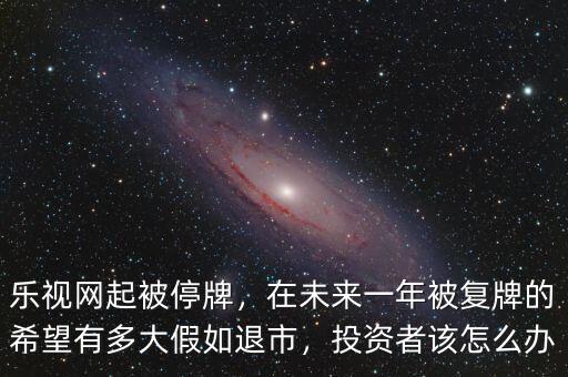 樂(lè)視網(wǎng)起被停牌，在未來(lái)一年被復(fù)牌的希望有多大假如退市，投資者該怎么辦