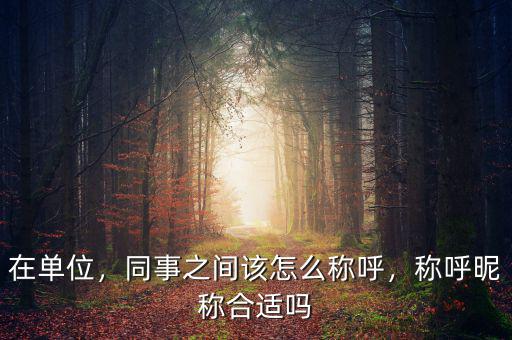 在單位，同事之間該怎么稱呼，稱呼昵稱合適嗎