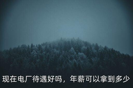 現(xiàn)在電廠待遇好嗎，年薪可以拿到多少