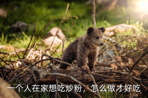 一個人在家想吃炒粉，怎么做才好吃