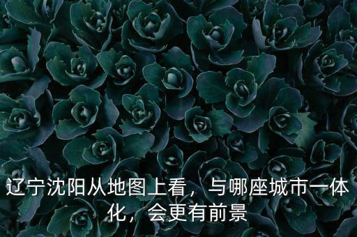 遼寧沈陽從地圖上看，與哪座城市一體化，會更有前景