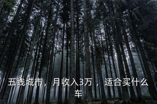 五線城市，月收入3萬 ，適合買什么車