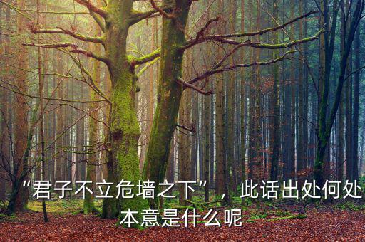 “君子不立危墻之下”，此話出處何處本意是什么呢