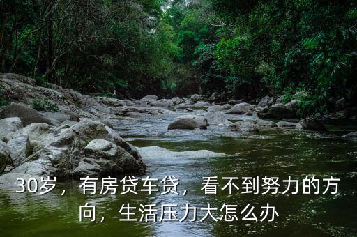 30歲，有房貸車貸，看不到努力的方向，生活壓力大怎么辦